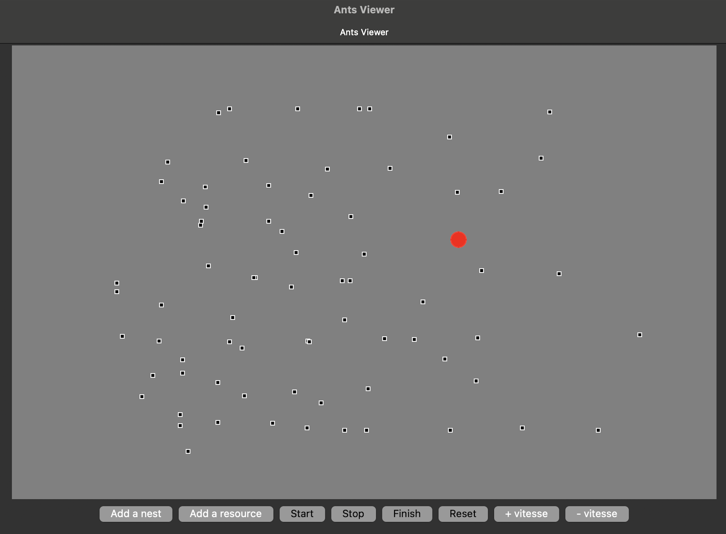 Capture d'écran du projet ANTS Simulation